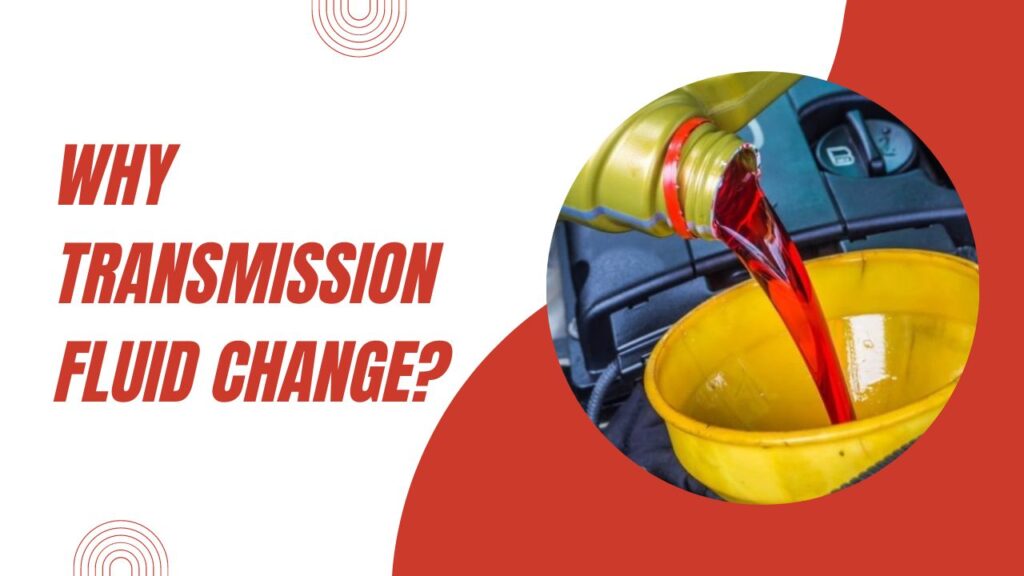 Why Transmission Fluid Change? 2023